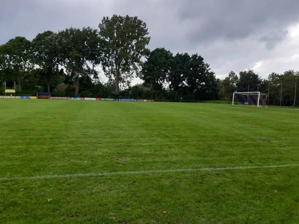 Sportpark Coendersborg veld 4-Blauw-Geel - Groningen