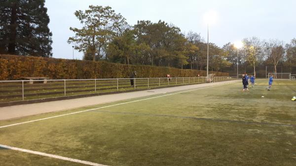 Städtisches Sportzentrum Nonnenholz Platz 2 - Weil/Rhein