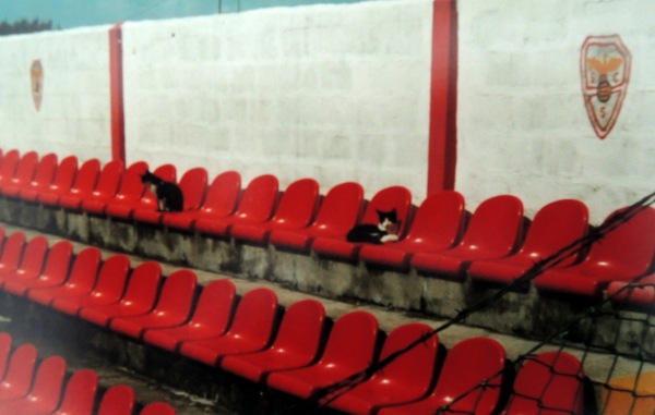 Estádio Engenheiro Vidal Pinheiro (1932) - Porto