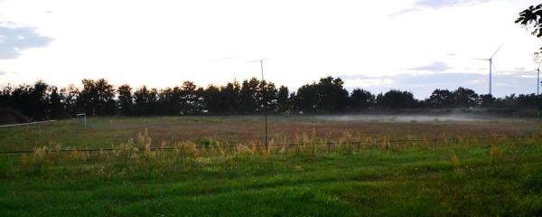 Sportplatz Mistorf - Mistorf