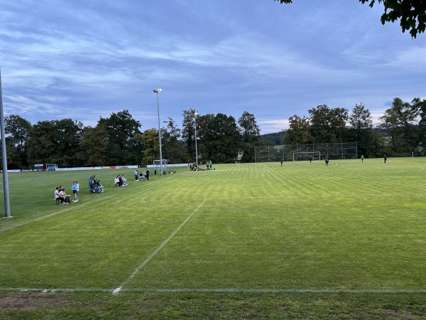 Waldsportplatz 2 - Dettighofen