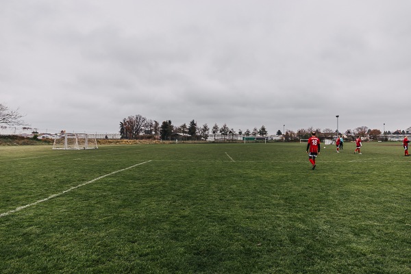 Sportanlage Kreuzsteinweg Platz 2 - Fürth/Mittelfranken-Poppenreuth