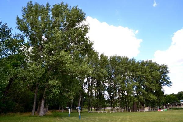 Sportplatz Dorfstraße - Bernburg/Saale-Wohlsdorf