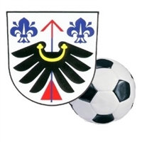 Wappen TJ Sokol Střelná