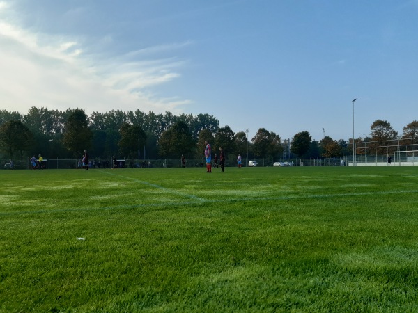 Sportpark Reeweg veld 2 - Dordrecht