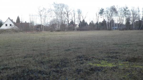 Waldsportplatz - Neupetershain-Nord