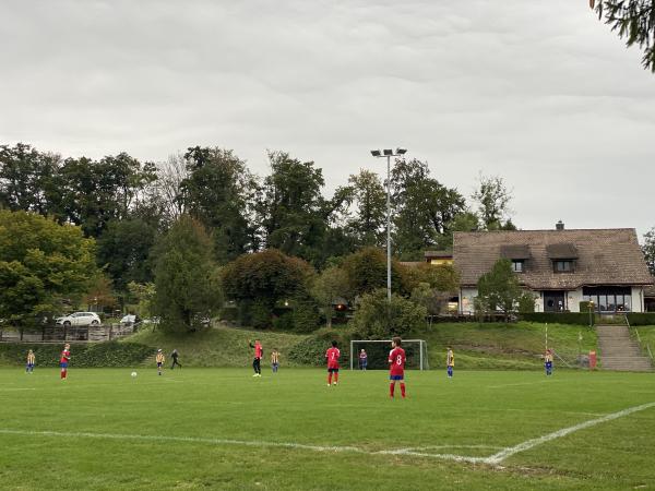 Sportplatz Schönegg - Wädenswil