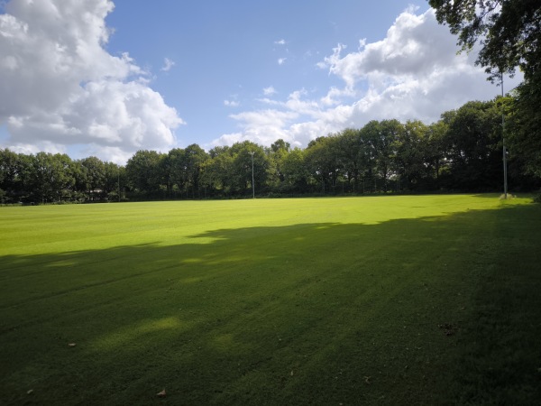 Sportpark De Wijchert veld 5 - Wijchen