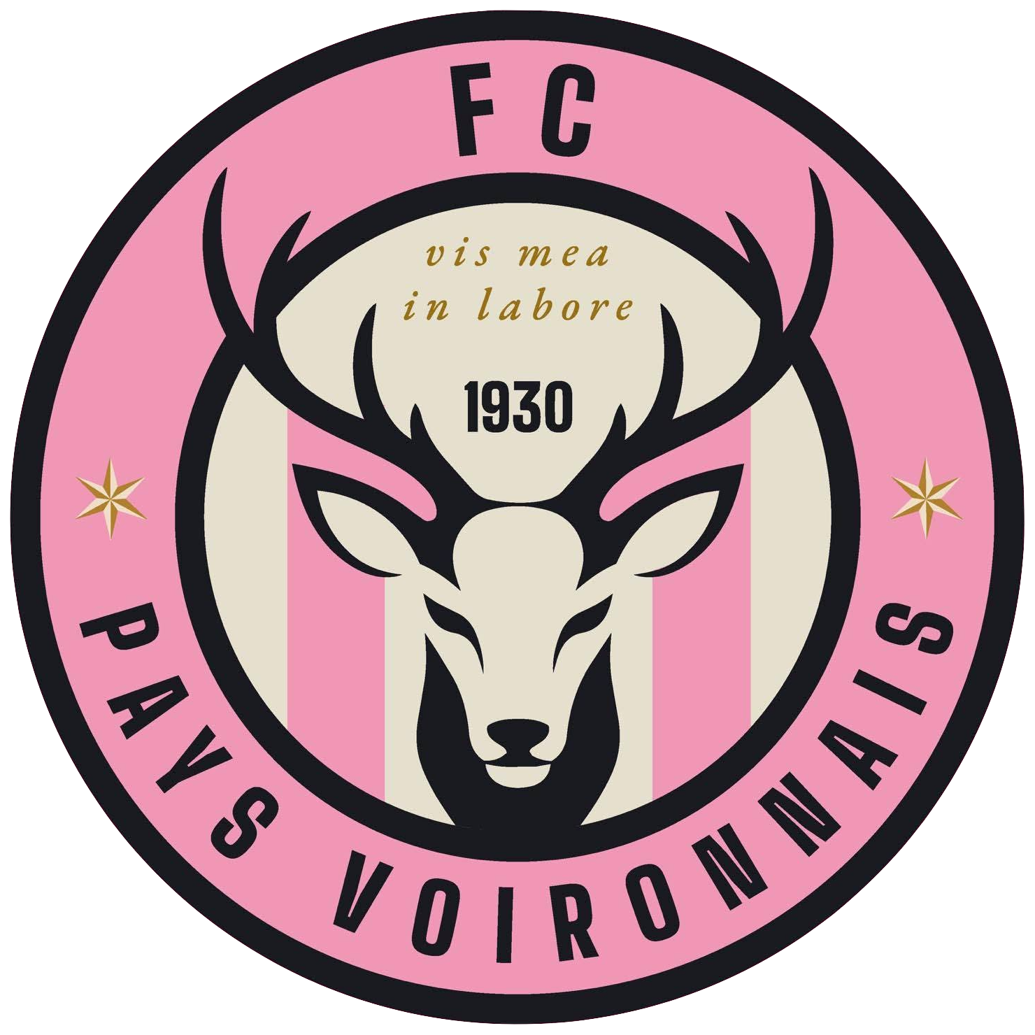 Wappen FC Pays Voironnais