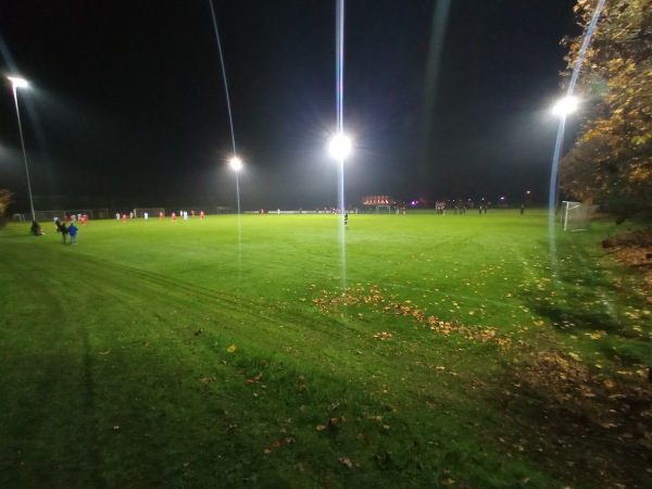 Riedstadion Nebenplatz - Radolfzell/Bodensee-Markelfingen
