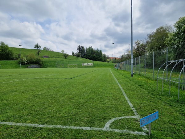 Sportplatz Niderwis Platz 2 - Elsau