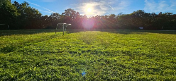 Sportplatz Wasenbach - Wasenbach