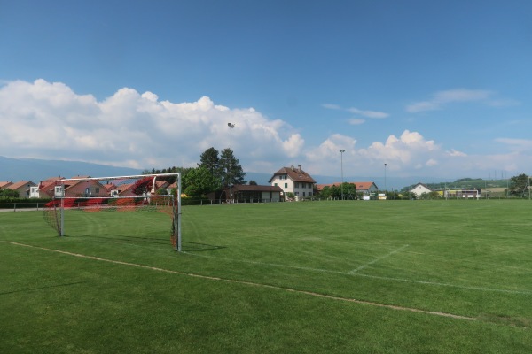 Terrain En Courtes-Raies - Chavornay