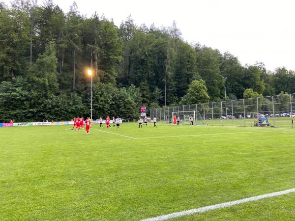 Sportplatz Reitplatz - Winterthur