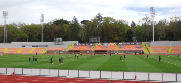 Estádio Municipal do Fontelo - Viseu