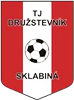 Wappen TJ Družstevník Sklabiná  128870