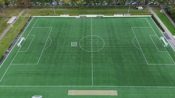Logan Park Field A1 - Dunedin