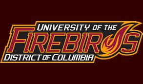 Wappen District of Columbia Firebirds  81721