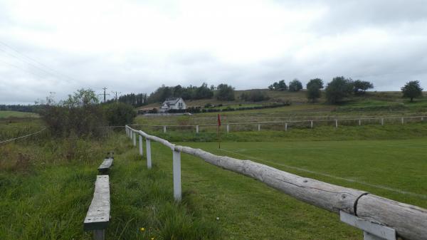 Stadion Wiejski w Dzikowcu - Dzikowiec