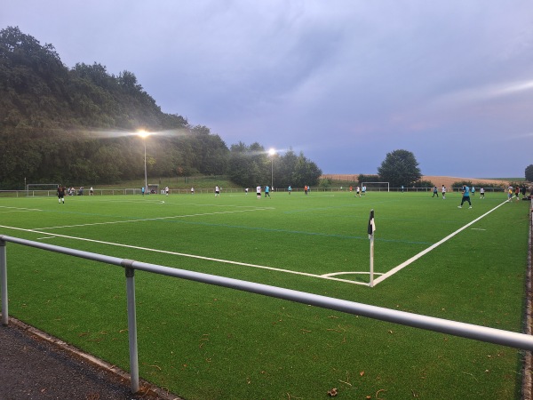Sportgelände am Mühlwald Platz 2 - Meckesheim-Mönchzell