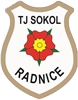 Wappen TJ Sokol Radnice  94580