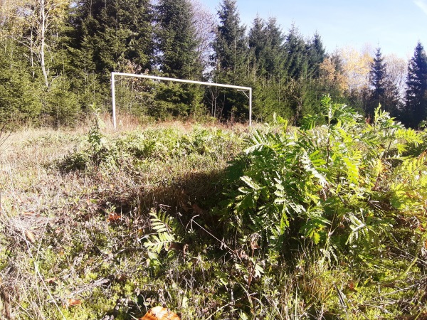 Waldstadion Nebenplatz - St. Oswald-Riedlhütte
