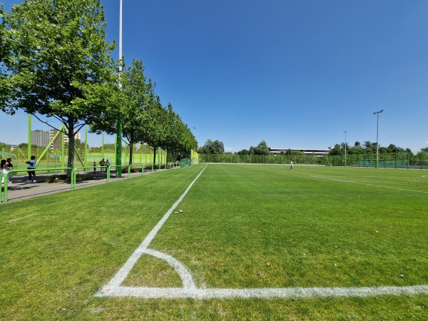 Sportanlage Heerenschürli Platz 6 - Zürich