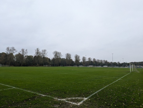 Sportpark De Horst veld 6 - Zeewolde