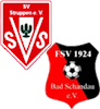 Wappen SpG Struppen/Bad Schandau (Ground A)  120842