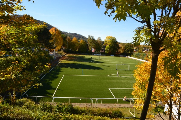 Harz-Metall Stadion B-Platz - Goslar-Oker