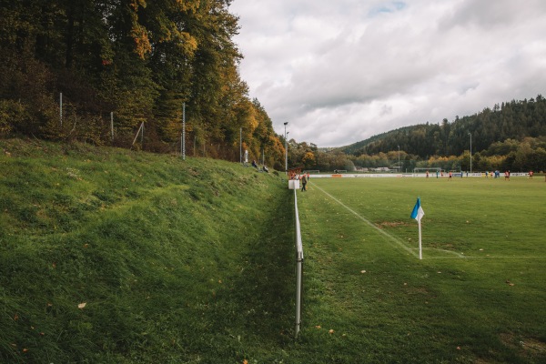 Flößer-Stadion - Wallenfels