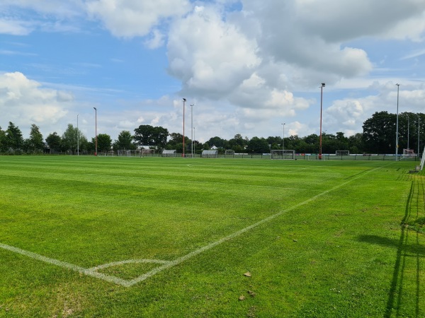 Sportpark De Bosk veld 2-HB - Achtkarspelen-Harkema