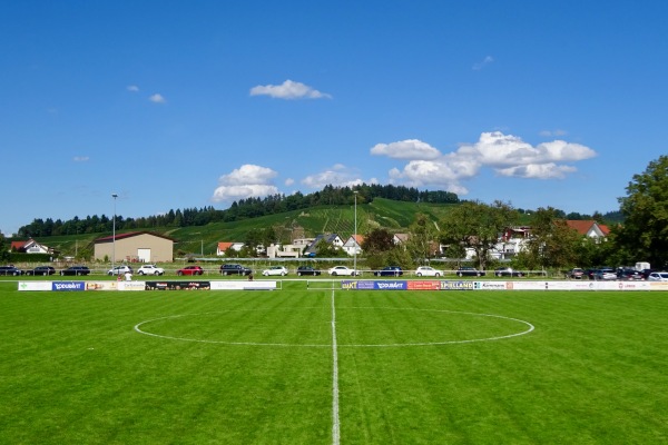 Sportanlage an der Elz - Waldkirch-Buchholz