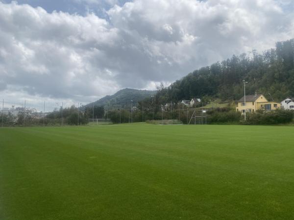 Sportanlage Buchlern Platz 4 - Zürich