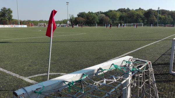 Stadion Sv. Josip Radnik, umjetna trava - Sesvete