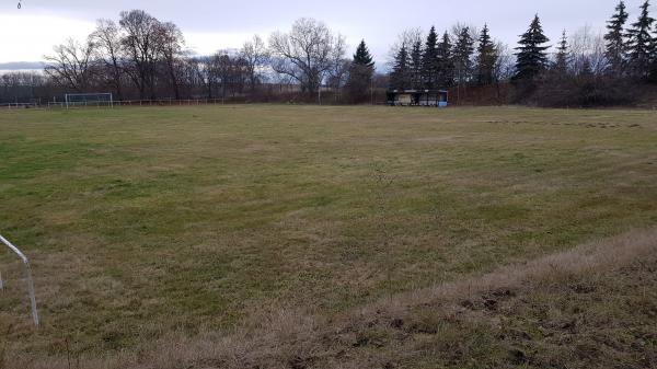 Sportplatz Buttelstedt - Am Ettersberg-Buttelstedt