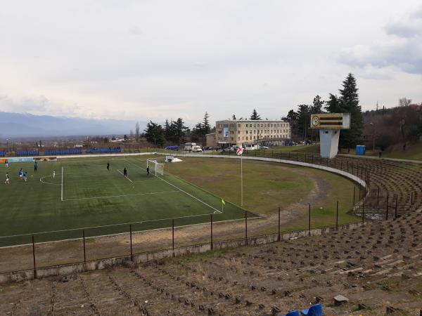 Givi Chokheli Stadion - Telavi
