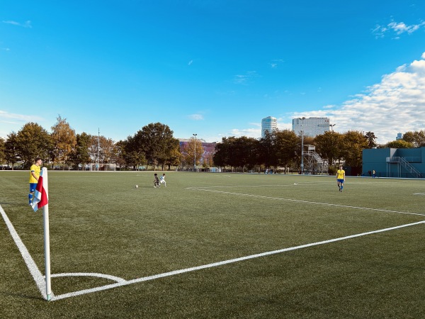 Sportpark De Toekomst veld 10 - Amsterdam-Duivendrecht