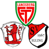 Wappen SG Jahn Landsberg/Erpfting/Igling - Frauen