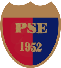 Wappen Palotás SE  81830
