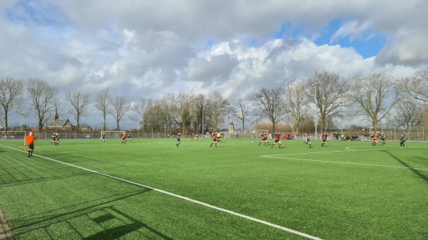 Sportpark Molenzicht veld 1 - West Betuwe-Beesd