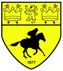 Wappen Newmarket Town FC  83393