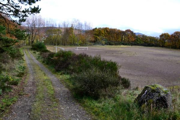 Sportplatz im Wald - Volkesfeld