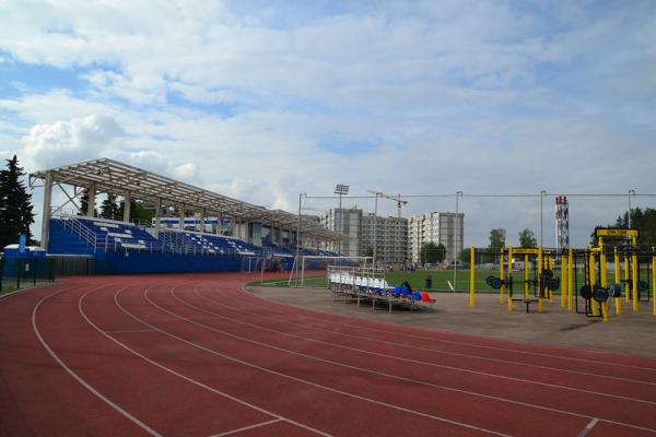 Stadion Metallurg - Vidnoye
