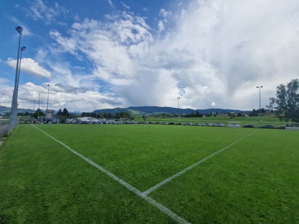 Sportplatz Beichlen Platz 3 - Wädenswil