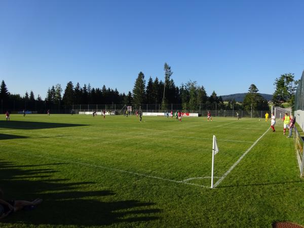 Tischlerei Grömmer Stadion - Sankt Roman