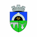Wappen Agarista-ȘS Anenii Noi  50015