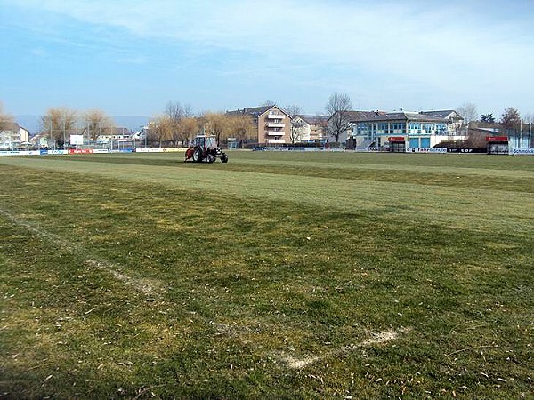 Friedrich-Meyer-Stadion - Teningen
