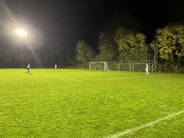 Sportanlage Schanzenstraße B-Platz - Delmenhorst-Dwoberg/Ströhen