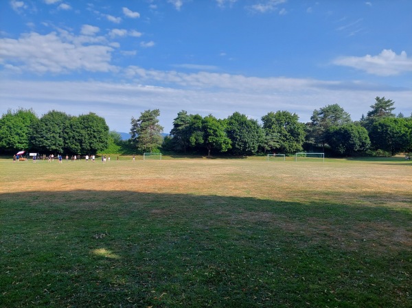 Stadion Hard Nebenplatz Weststrasse - Langenthal